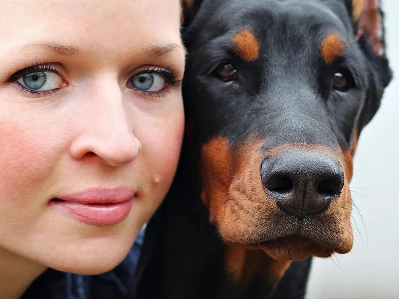 Dobermann – Rasseportrait